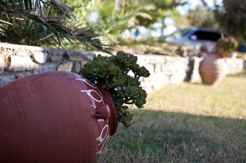 Evi Rooms Aliki  Exterior photo